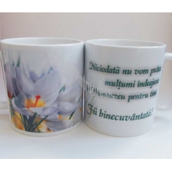 Cana Niciodata nu vom putea multumi 
